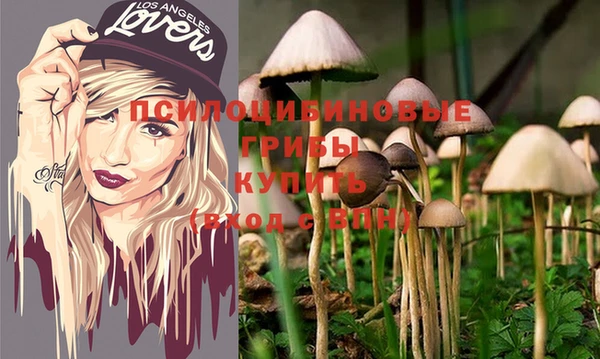 PSILOCYBIN Балабаново