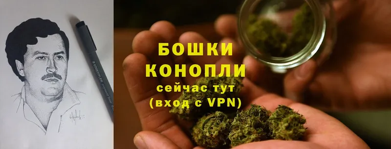 MEGA ONION  купить наркотики сайты  Мамоново  Каннабис White Widow 